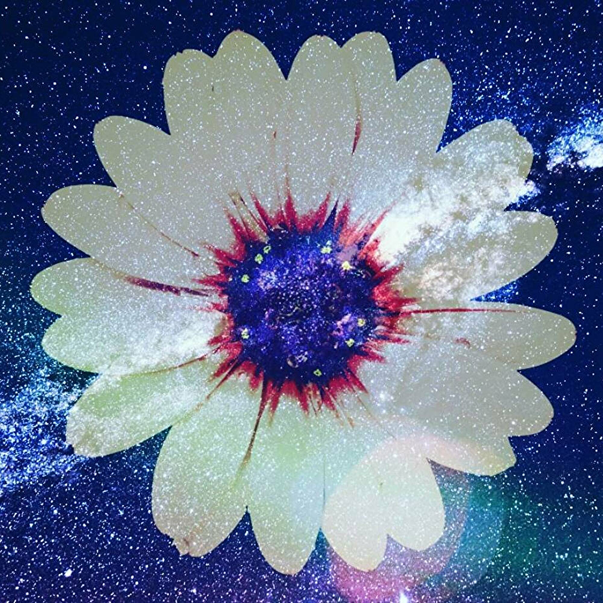 Flower - EP
